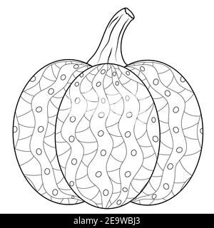 Zucca matura con pagina del libro di colorazione ornamentale Illustrazione Vettoriale
