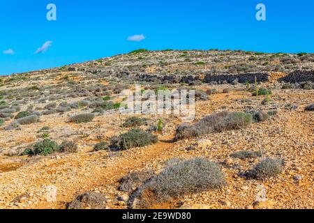 Ruvida costa di Isola di Comino e Malta Foto Stock