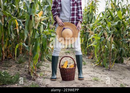 Coltivatore in campo di mais. Donna con cappello di paglia e stivali di gomma in piedi sopra cesto di vimini con pannocchie di mais raccolte. Concetto agricolo e agricolo Foto Stock