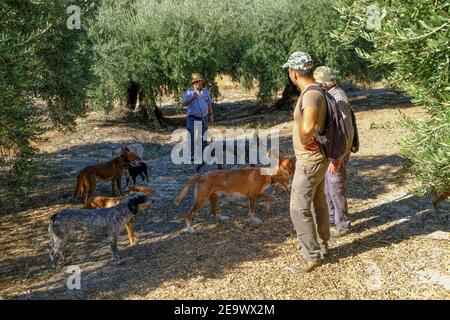 Carcabuey, Sierras Subbeticas, Provincia di Cordova, Andalusia, Spagna Foto Stock