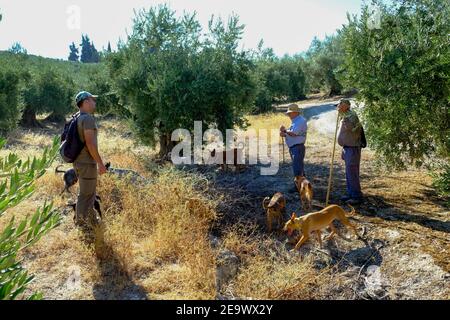 Carcabuey, Sierras Subbeticas, Provincia di Cordova, Andalusia, Spagna Foto Stock