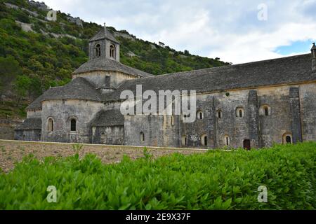 Vista panoramica dell'Abbazia di Sénanque e dei suoi dintorni, una comunità cistercense vicino al villaggio storico di Gordes in Vaucluse Provenza Francia. Foto Stock