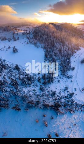 Nuvole ondulate nella fitta foresta di conifere di Abete Bianco sulle pendenze di Snowy White Hill in inverno durante il tramonto. - Aerial Drone Shot. Una foresta densamente coperta con Foto Stock