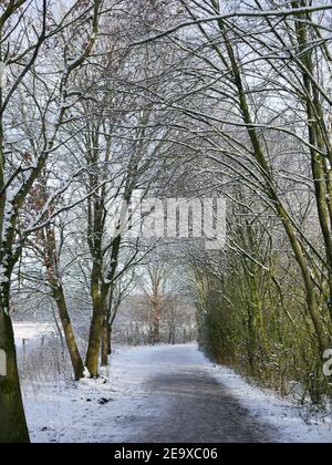 una passeggiata invernale a oldenburg Foto Stock