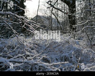 una passeggiata invernale a oldenburg Foto Stock