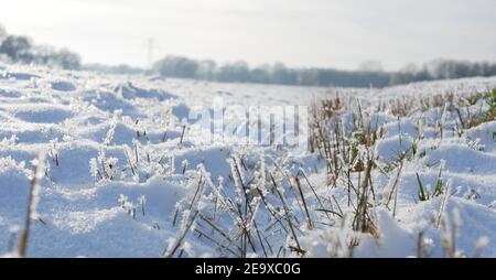 una passeggiata invernale a oldenburg Foto Stock