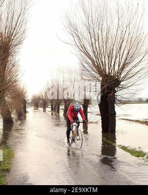 Febbraio 2021 - ciclista che attraversa le inondazioni sui Mori a Godney vicino a Glastonbury a Somerset, Inghilterra, Regno Unito Foto Stock