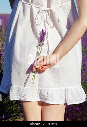 Vista posteriore di una giovane femmina tranquilla, tagliata e irriconoscibile, in bianco abito estivo in piedi in pittoresco campo di lavanda aromatica contro nuvoloso blu Foto Stock