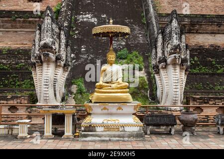 Statua di Buddha a Wat Chedi Luang, Chiang mai, Thailandia. Foto Stock