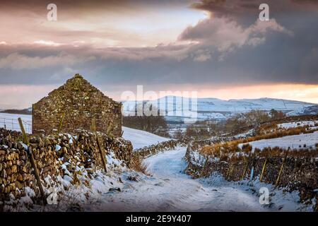 Neve coperta percorso murato e fienile nel paesaggio Yorkshire Dales in inverno. Horton Scar Lane, Horton a Ribblesdale, Regno Unito Foto Stock