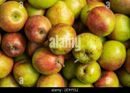 Molti colori sour kul o prugne primo piano su uno Negozio mercato villaggio o mela kul o Kul Boroi o. jujujbe rosso e verde Foto Stock