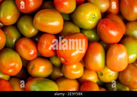 Pomodori maturi cibi freschi e sani, pomodori verdi e rossi, consistenza e overhead. I pomodori verdi si sbiadiscono al giallo, all'arancio, al rosso brillante con più co Foto Stock