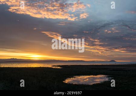 Alba a Boundary Bay BC Canada Foto Stock