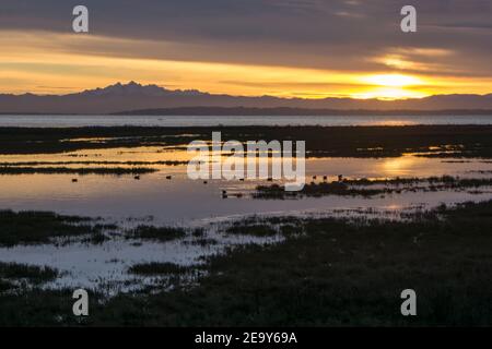 Alba a Boundary Bay BC Canada Foto Stock