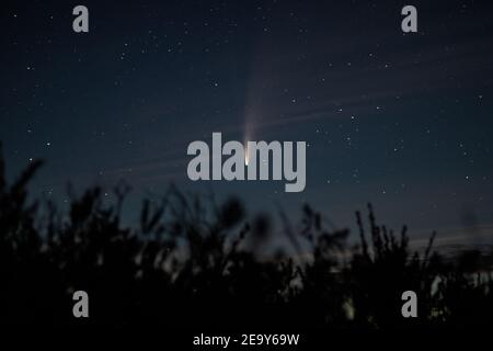 C/2020 F3 (NEOWISE) - Comet appare neosiscela sul nightsky e ravvivarlo. Foto Stock