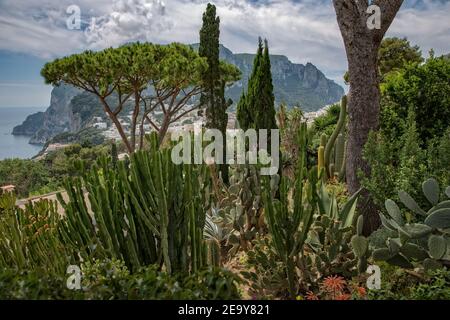 Paesaggio tipico dell'isola di Capri con giardino esotico, case bianche e Monte Solaro sullo sfondo, mare tirreno, Italia Foto Stock