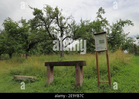 GERMANIA, MAULBRONN - 22 giugno 2019: Una banca che serviva come un arresto di riposo per i portieri è chiamata Gruhe in tedesco. Foto Stock