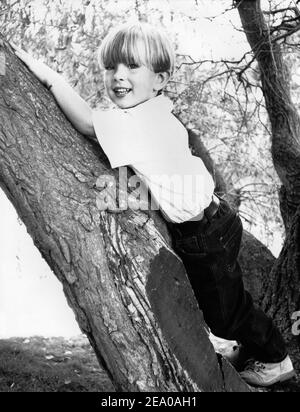 scansione monocrita della stampa del ragazzino che posa sull'albero Foto Stock