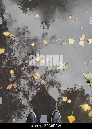 un piede maschio in sneakers in un puddle con autunno foglie Foto Stock