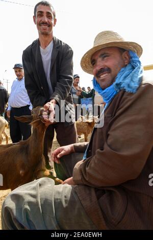 Il venditore mostra i denti di una capra al souq settimanale in Azrou, Marocco Foto Stock