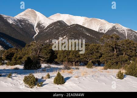 14,197 piedi Mt. Princeton è a ovest di Buena Visa Colorado. Mt. Princeton si trova all'interno della San Isabel National Forest, nel Colorado centrale. Foto Stock