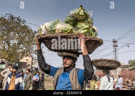 Uomo che porta cavolfiori al mercato ortofrutticolo di Lahore di Badami Bagh è il più grande mercato all'ingrosso della provincia di Punjab, Pakistan Foto Stock