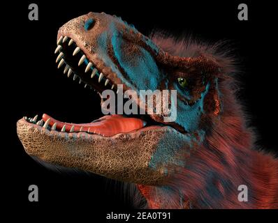 T Rex Head Study Foto Stock