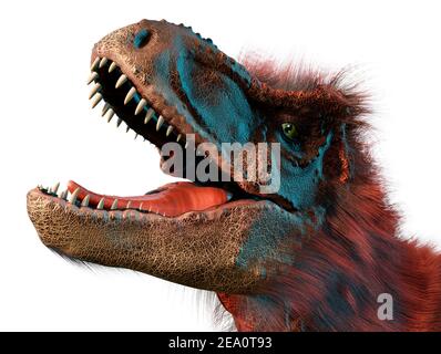 T Rex Head Study Foto Stock