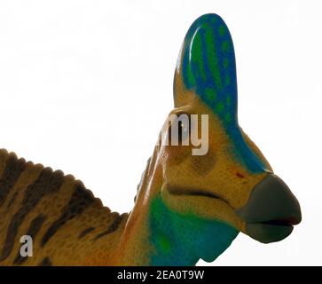 Capo di un dinosauro coritosauro Foto Stock