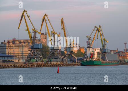 Vista delle gru portuali di carico sera di ottobre. Vyborg, Russia Foto Stock