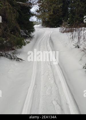 Tracce di neve dal passaggio della motoslitta e l'uomo che passa dietro di essa tra gli abeti verdi nella giornata invernale. Foto Stock