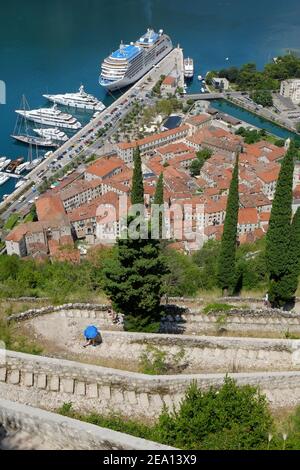 turista con un ombrello blu aperto sulle scale dal vecchio Cattaro conduce alla fortificazione di San Giovanni, Montenegro Foto Stock