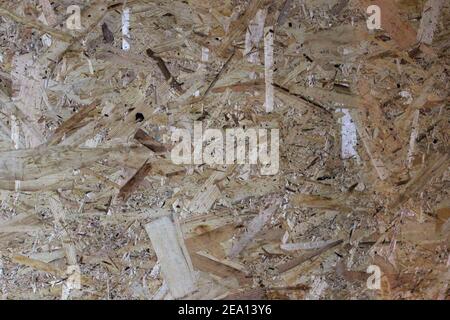 Strand Board orientato. Materiale da costruzione per truciolare. Pannelli di legno OSB in trucioli di legno marrone sabbioso pressato come primo piano. Foto Stock