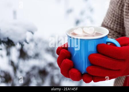 le mani della donna tengono la tazza con il cacao caldo Foto Stock