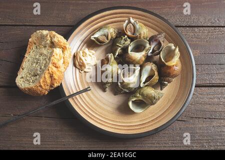 Piatto tradizionale francese - lumache di mare bollite con erbe in un piatto e un pezzo di pane su un buio tavolo di legno Foto Stock