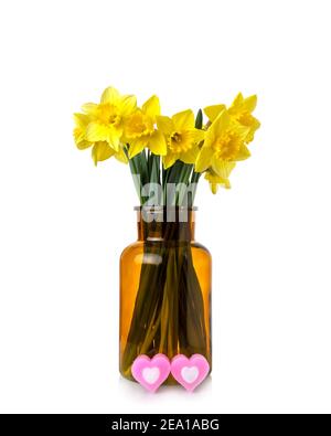 Buon compleanno di San Valentino anniversario della donna o matrimonio Narcissus Fiori con due cuori isolati su sfondo bianco. Foto Stock