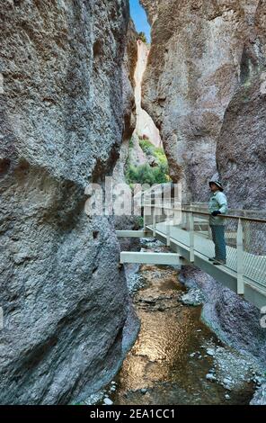 Escursionista sul sentiero Catwalk, Whitewater Canyon in Mogollon Mountains, Gila National Forest, vicino a Glenwood, New Mexico, USA Foto Stock