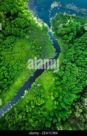 Alghe verdi sul lago e sul fiume, vista aerea della Polonia Foto Stock