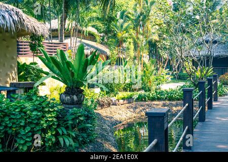 vegetazione nel parco dell'hotel, soluzione di design, paesaggio con piante tropicali Foto Stock