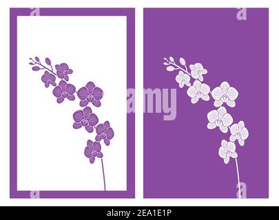 fiore orchidea isolato, illustrazione vettoriale Illustrazione Vettoriale