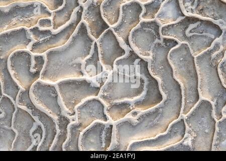 Un astratto sfondo bianco e grigio formato da acque geotermiche. Foto Stock