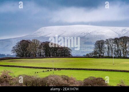 Clitheroe, Lancashire, Regno Unito. 7 Feb 2021. Neve su Pendle Hill, Clitheroe, Lancashire questa mattina. Credit: John Eveson/Alamy Live News Foto Stock