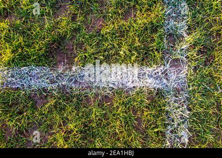 Linee bianche su un campo da rugby Foto Stock