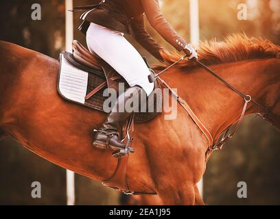 Un cavallo stregone con una bella mane rossa e un cavaliere in sella salta in alto, illuminato dalla luce del sole. Mostra i concorsi di salto. Centro equestre Foto Stock