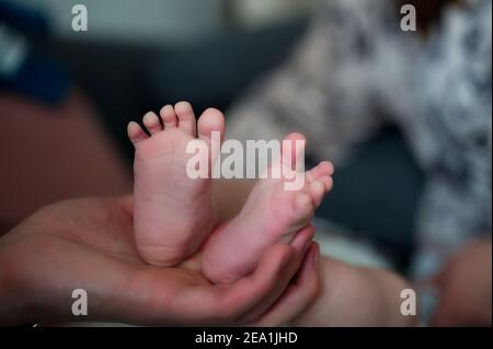 Le mani del padre che tengono i piedi del bambino del neonato carino Foto Stock