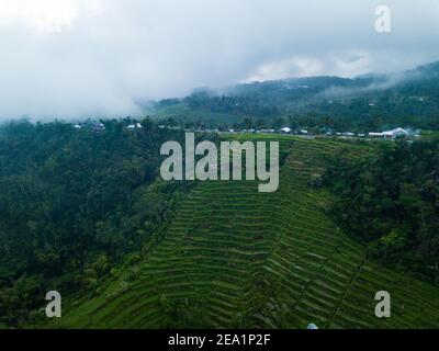 Vista aerea con droni sulle nebbiose colline tropicali terrazzate con basse nuvole che si snodano su lussureggianti risaie verdi e la foresta di Bali, Indonesia. Foto Stock