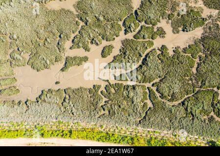 Leigh on Sea National Nature Reserve vista aerea delle paludi In Essex Foto Stock