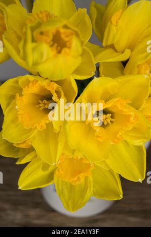 Looking down on a bunch of spring daffodils Foto Stock