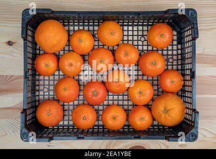 Agrumi esotici, clementine tangerini, in scatola di plastica, primo piano, vista dall'alto. Vitamine per la salute. Foto Stock