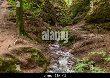 Sentiero escursionistico e ruscello nel Drachenschlucht, Gola del Drago vicino a Eisenach, Turingia Foto Stock